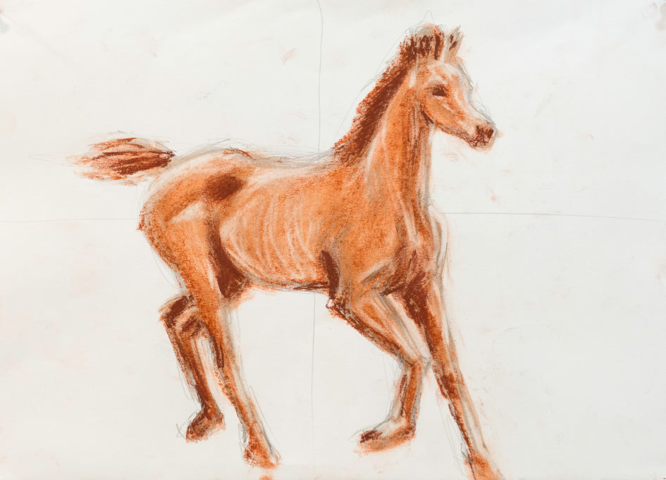 Caballo 2