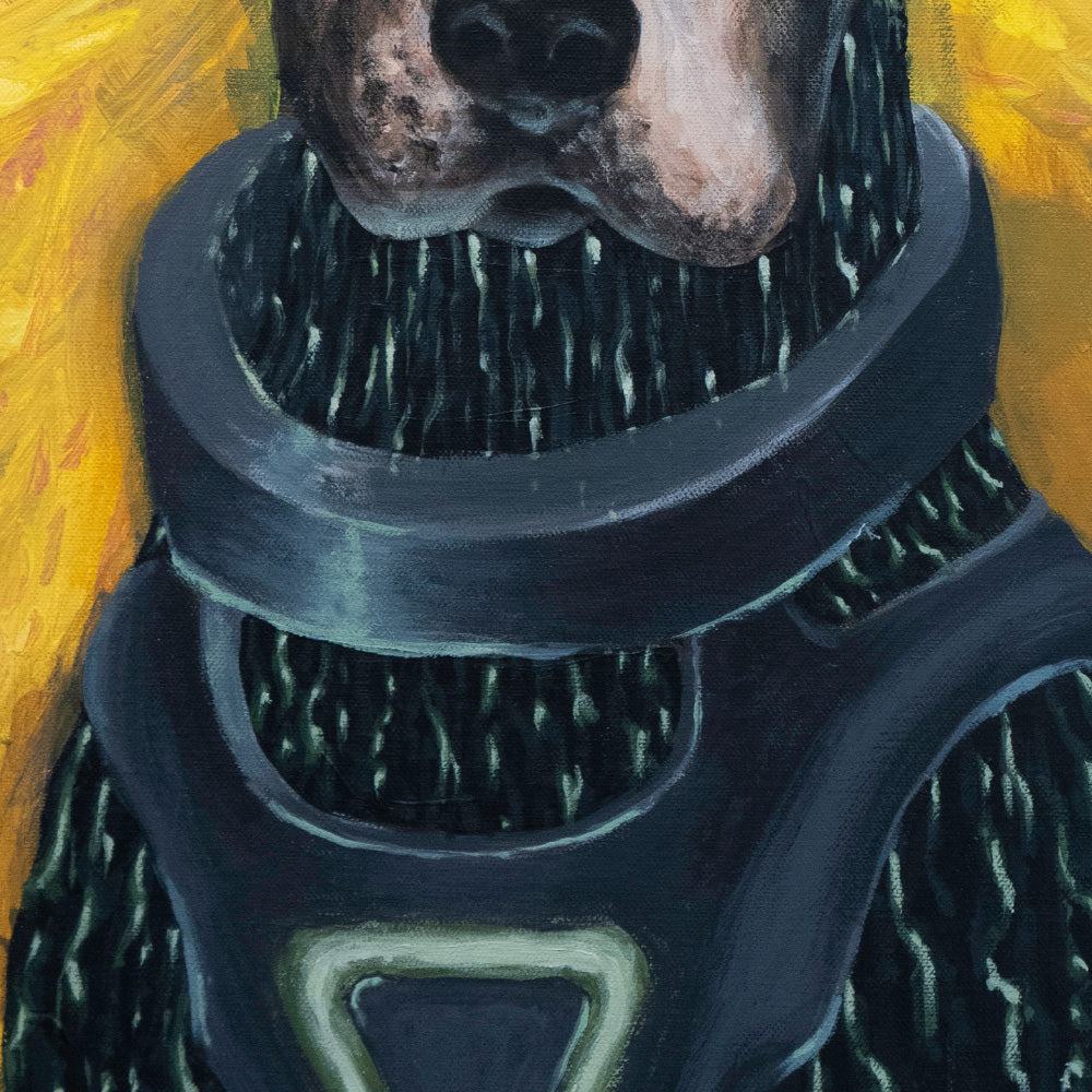 Luna 2, infantería de rescate