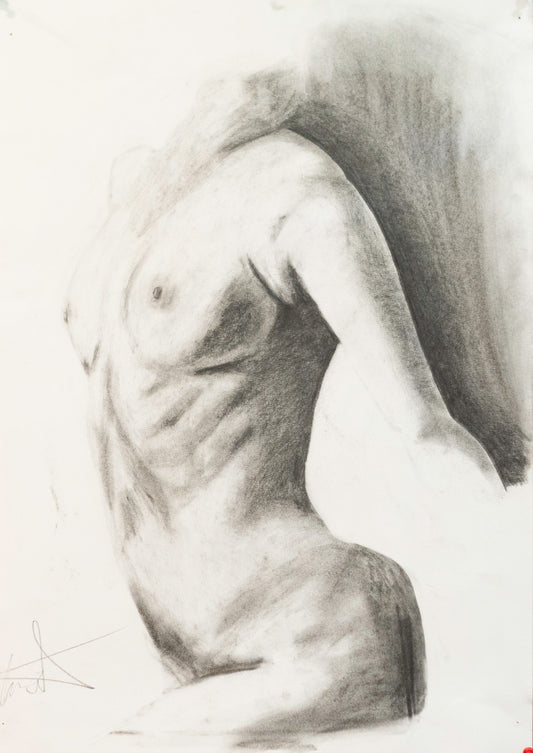 Anatomía 9