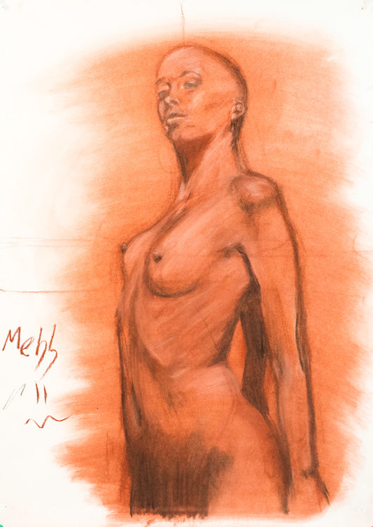 Anatomía 10