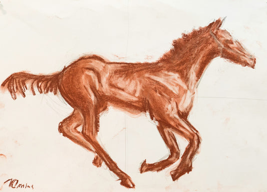Caballo 1