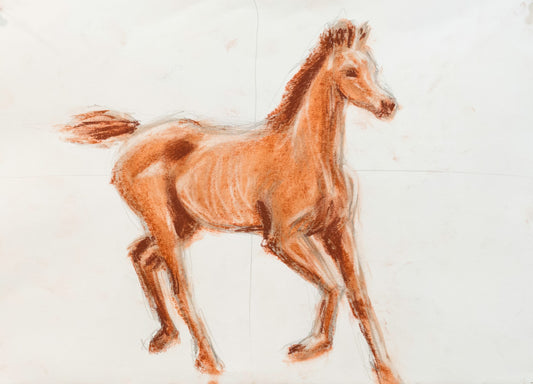 Caballo 2